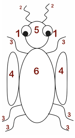 beetle