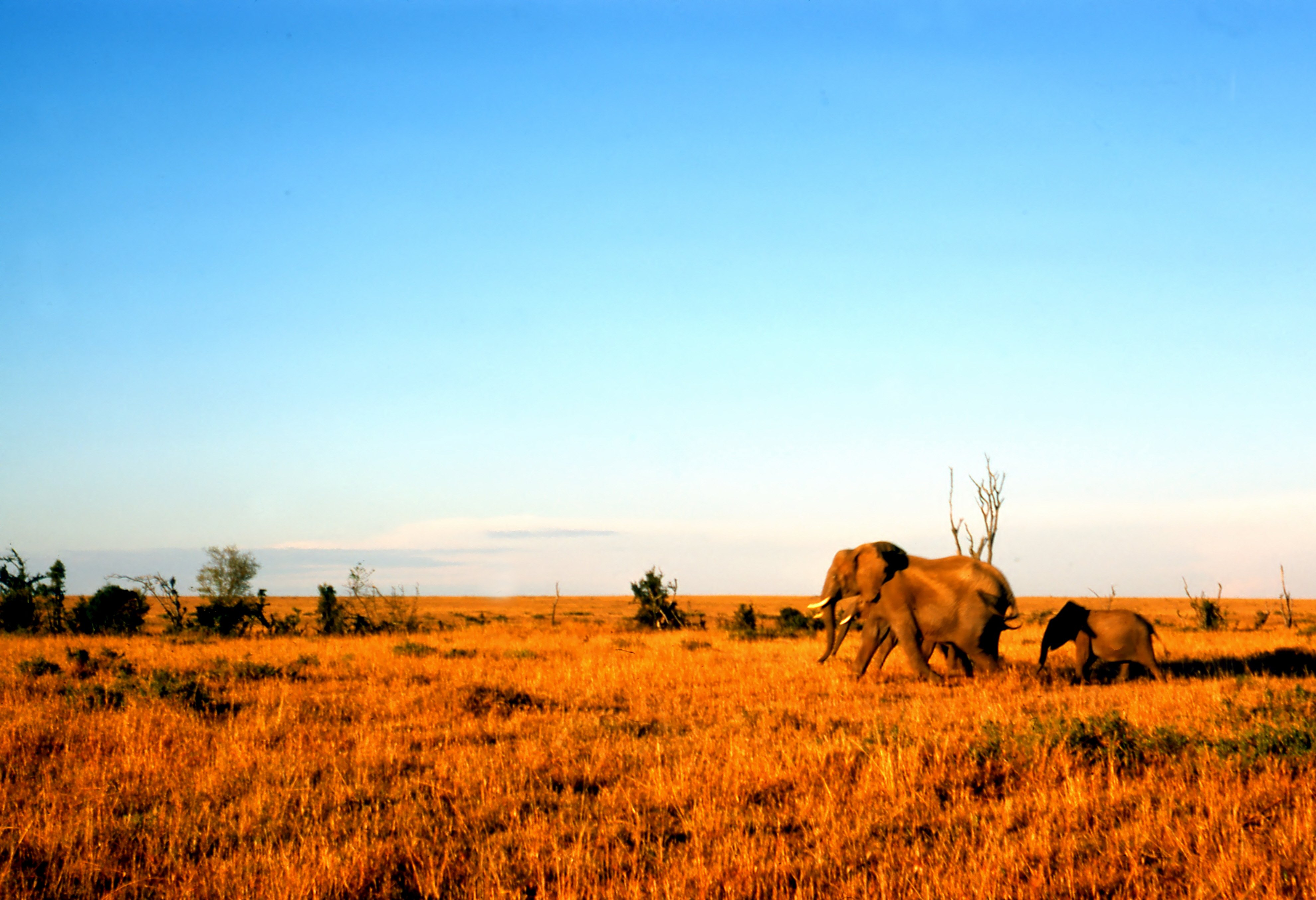 Kit for Kenya – Life changing opportunity for young leaders!