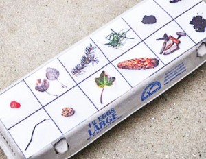 Egg Box