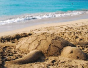 Sand Sculpture